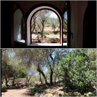 Apartamento Delizioso Monolocale In Stazzo Gallurese Fst-nur01