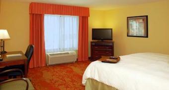 Hotel Hampton Inn & Suites Denver/highlands Ranch