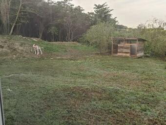 Waterfront Seaglass Villa-private-3 Bedrooms-3 Baths-15 Min To Negril