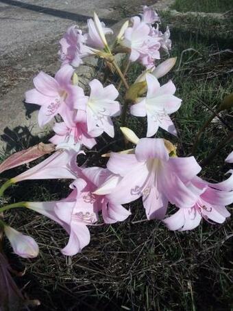 Apartamento Casa In Campagna