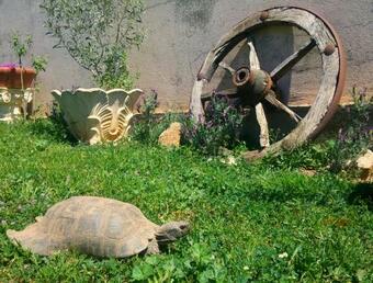 Bed & Breakfast Zia Chiarina