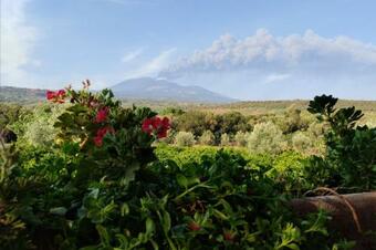 Lavica - Country Guest House