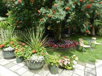 Serenity Bed And Breakfast