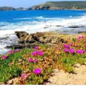 Agroturismo Turismo Rurale Pertunghe