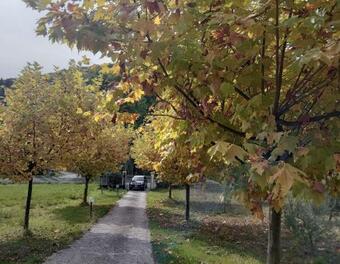 Apartamento Oasi Naturale "roscignola"