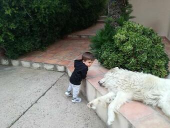 Bed & Breakfast Casa Madda