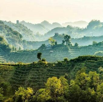 La Casa Rosa Di Segusino (unesco Zone)