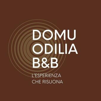 Bed & Breakfast Domu Odilia