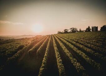 Agroturismo Agriturismo Monte Bisson