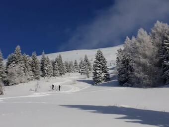 Bed & Breakfast Da C I S A