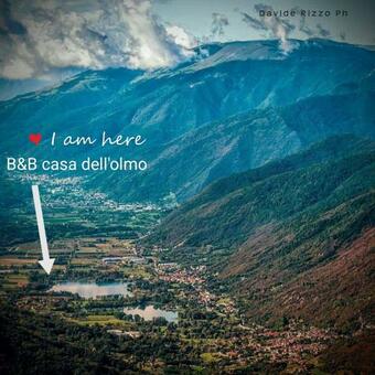 Hostal La Casa Dell'olmo