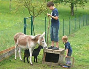 Familienhotel Schmautz