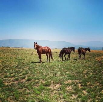 Sukisinyoni Guest Home