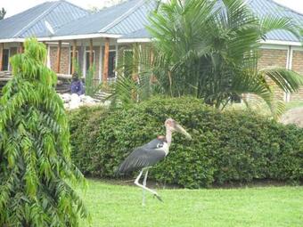 Marianah Tourist Hotel