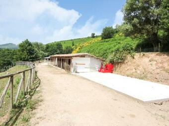 Vibrant Villa In Torre Di Ruggiero With Sauna