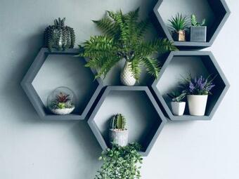 The Madam Herself B&B