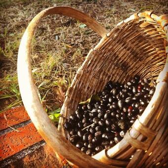 Il Porredo - Seaview Cottage With Garden, Terrace And Patio - Fosdinovo