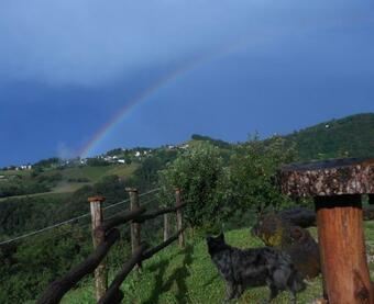 Agroturismo Agriturismo La Casa Nei Boschi
