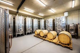 Apartamento Ferienwohnung Weingut Birnstingl