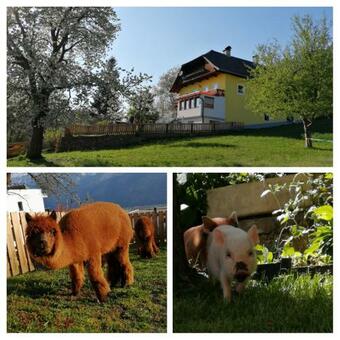 Apartamento Ferienwohnung G�riacher Stern