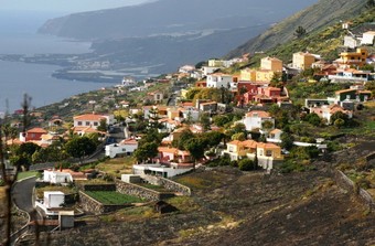 Apartamentos Y Bungalows Finca Col�n