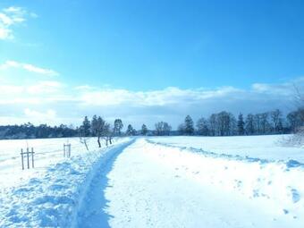 Apartamento Zur Alten Scheune