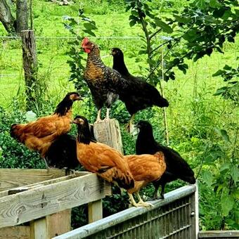 Apartamento De Olle Uhlhoff