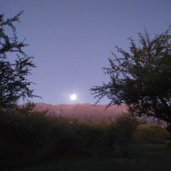 Luna De Los Molles