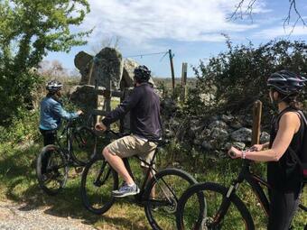 Ver fotos