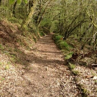 Lodge Little Woodacott