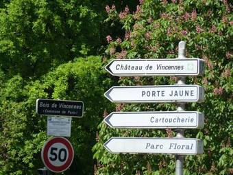 Apartamento Studios Albri