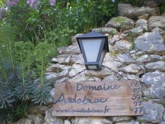 Bed & Breakfast Domaine D'audabiac