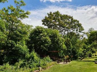 Hostal App And Rooms Bogdan With Hot Tub