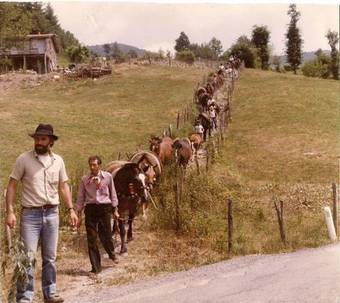 Bed & Breakfast Mulino Marghen