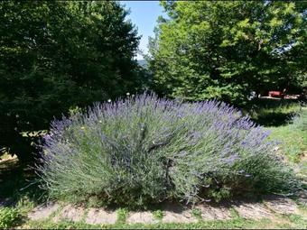 Lodge Holiday Home Baita Del Por Azzolo Seggiano