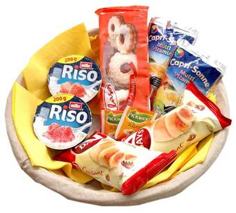 Hostal Penzion V Roklich