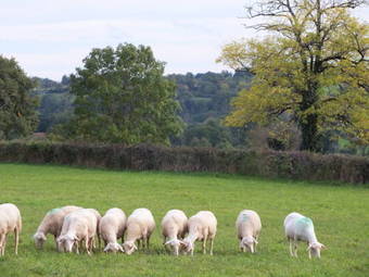 L'oustal D� P�iro