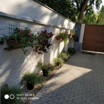 Belv�rosi Apartmansz�ll� - Kiskunf�legyh�za