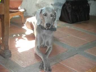 Bed & Breakfast Les Capitelles Du Caylar