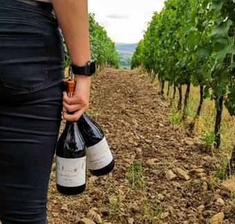 Hostal Orosz G�bor Vend�gh�z M�d