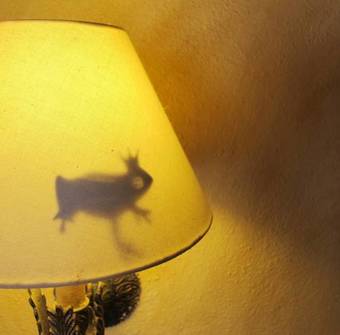 Bed & Breakfast Can Vila