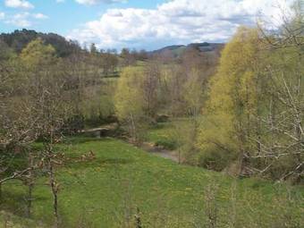 Hotel H�tel Rodier