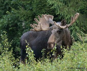 Ekesberget Stugby Stuga 3