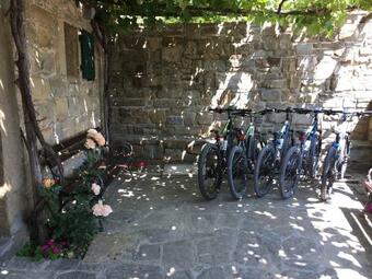 Apartments Padna Goja