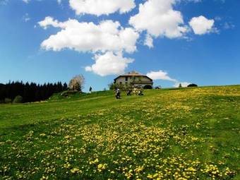 Meltar Boutique Hotel