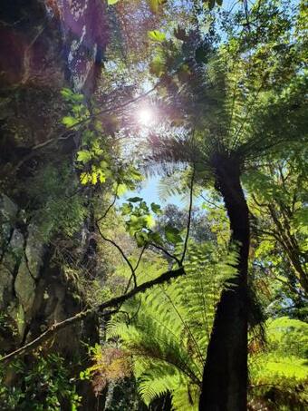 Lodge Cascata Dos Amores