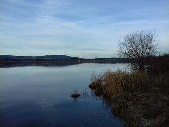 Apartamento Ferienwohnung Wiesm�hlstrasse