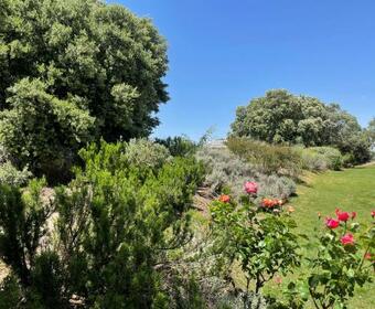 El Encinar De Gabino