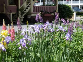 Bed & Breakfast The Village Inn Of Woodstock