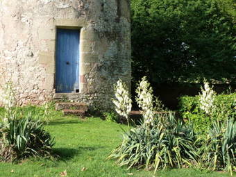 Bed & Breakfast Ch�teau De Clusors